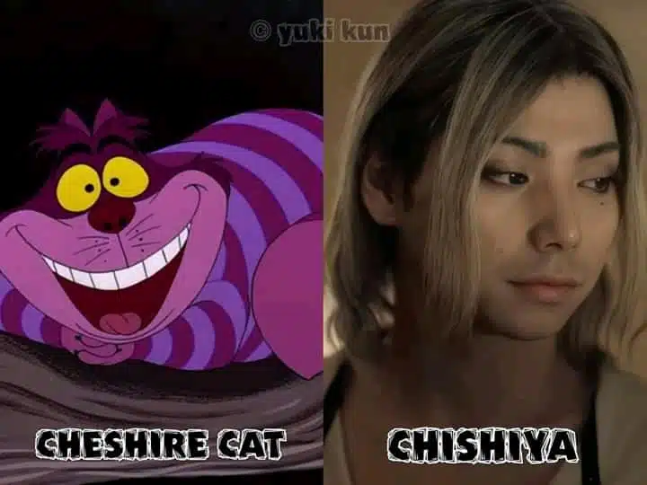 gato misterioso chisiya