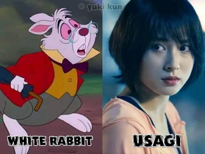 usagi coelho branco